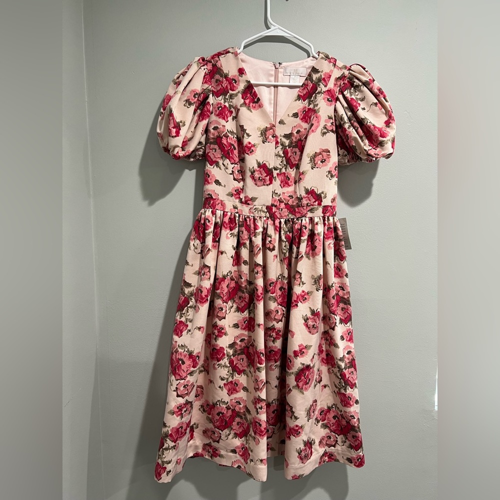 NWT Rachel Parcell Pink Smoke Fit and Flare Floral Dress Sz Small
